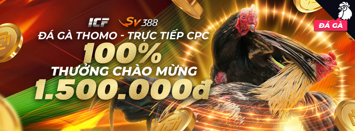 Hoàn tiền hàng tuần