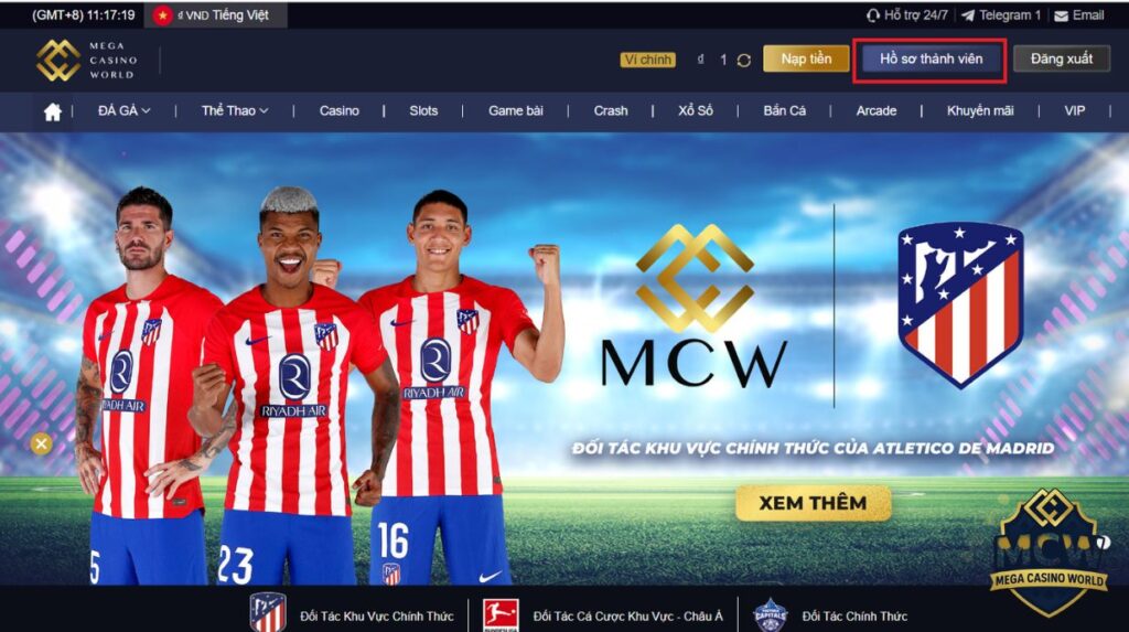 Giới Thiệu Chung Về Chương Trình Đối Tác MCW