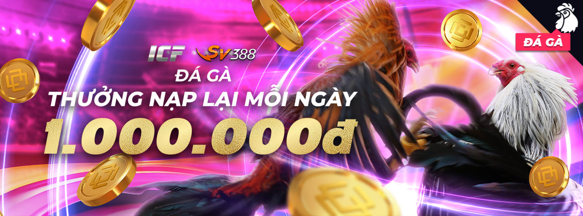 Khuyến mãi đá gà